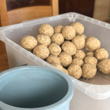 THE KOJI FERMENTERIA MISO MAKING WORKSHOP
