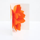 A standing and open Chisato Tamabayashi orange flower 3D popup greeting card, showing a  cluster of bright orange petals that pop out when completely open. Available at NiMi Projects UK. 