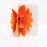A front view of an open Chisato Tamabayashi orange flower 3D popup greeting card revealing a cluster of bright orange  petals standing out. On show at NiMi Projects UK. 