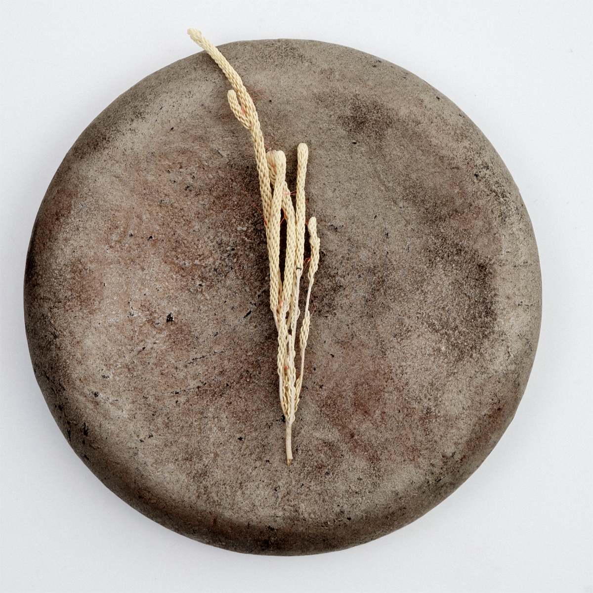 SOLMU PUUT WOOD & LACQUER PLATE C | JAPANESE CRAFT | MADE IN JAPAN ...