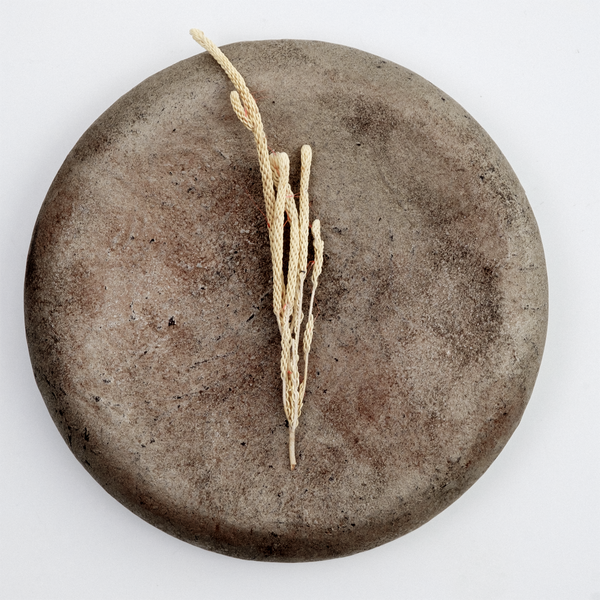 A circular raised pedestal plate made of wild cherry wood collected from Yakushima by Japanese artisan Solmu Puut and finished with washi paper and urushi lacquer with a dusting of tin powder. On display with a sprig of wild flowers at NiMi Projects UK.