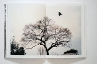Hanami Aoyama photo book by Keith Ng. Photos of cherry blossom viewing in Japan.
