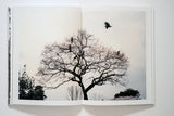 Hanami Aoyama photo book by Keith Ng. Photos of cherry blossom viewing in Japan.