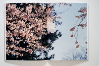 Hanami Aoyama photo book by Keith Ng. Photos of cherry blossom viewing in Japan.