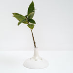 Watanabe Thoki ceramic porcelain flat bottomed vase, Japanese minimalist design, hand crafted in Japan