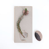 Watanabe Thoki ceramic grey stoneware Kakyu flat vase, Japanese design, handmade in Japan
